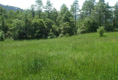 Spațiu comercial, în Hârja - 1