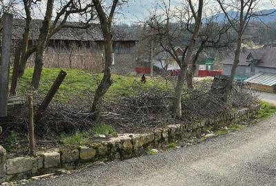 Teren de 1000 mp, în Hăulișca - 5