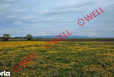 Teren de 429 mp, în Bod - 4