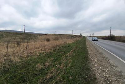 Teren Construcții extravilan de 12400 mp, în Pătrăuți - 3