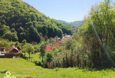Teren de 1750 mp, în Central - 3