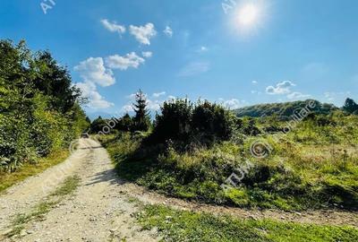 Teren 1000 mp Intravilan in Avrig zona turistica Valea Avrigului - 3