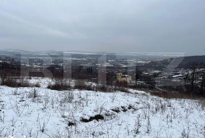 Teren de 1240 mp, în Tomești - 4