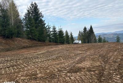 Spațiu comercial, în Dârlești - 9