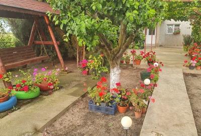 Casă cu 4 camere cu Teren 4300 Mp în Chirnogi - 4