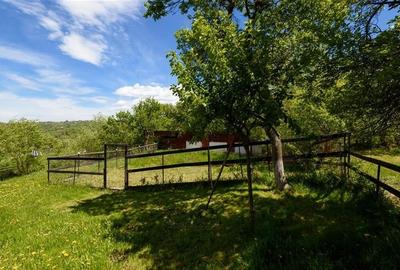 Pensiune:3 km de Castelul Bran,2.900mp teren,piscina,ciubar,teren sport,aviz ISU - 48