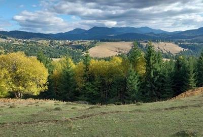 Teren Construcții extravilan de 10450 mp, în Tiha Bârgăului - 6