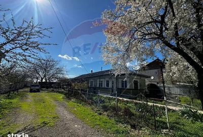 Casă cu 3 camere cu Teren 1000 Mp în Răcari - 12