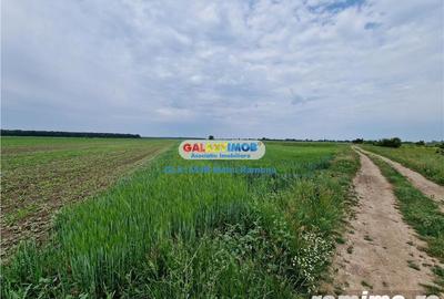 Teren agricol extravilan Uliesti, sat Ragu, apropiere Autostrada A1