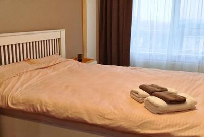 Garsoniera de inchiriat in zona Vitan - 5