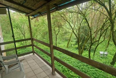 Casă cu 4 camere cu Teren 6000 Mp în Bezdead - 2