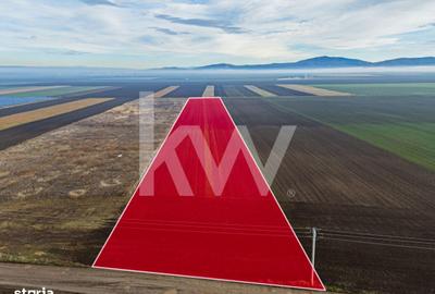 Teren de 16000 mp, în Hărmanului - 6