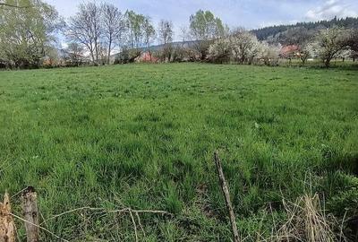 Teren de 5766 mp, în Lerești - 1