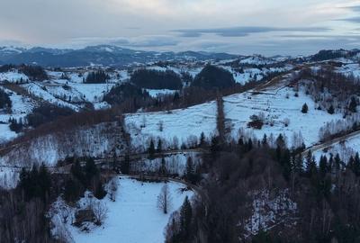Teren de vanzare - Pestera Magura Moeciu - 5