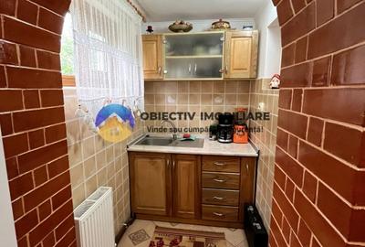 2 case si teren in Agapia - localitatea Sacalusesti - 15