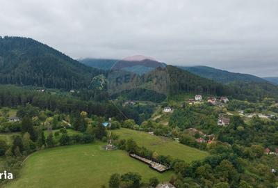 Spațiu comercial, în Poiana Angelescu - 9