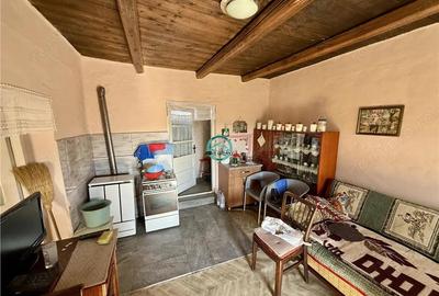 Casa cu teren de 5400 mp intravilan de vanzare, loc. Dileu Vechi - 10