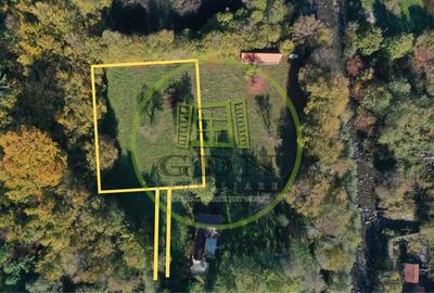 Teren intravilan | 1300 mp | de vanzare- Valea Avrigului - 5