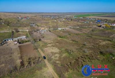 Teren de 3414 mp, în Dunavățu de Sus - 4