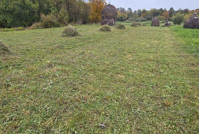 Spațiu comercial, în Breb - 7