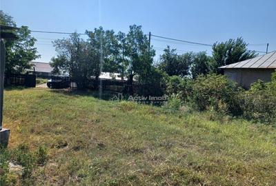 Casa Bila Ghimpati- Giurgiu - 18