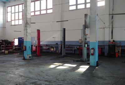 Hala 480mp, zona Complexul Studentesc - 10