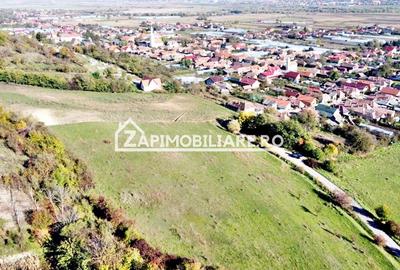 Teren 2.200 mp puz aprobat 36.euro mp - 4