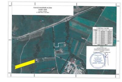 Teren de 10000 mp, în Central