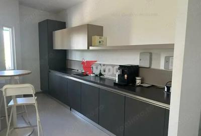 Proprietate Industriala 7000 mp hala in Calea Sagului Timisoara - 2