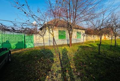 Casa 4 camere Seitin 2144 mp teren - 2