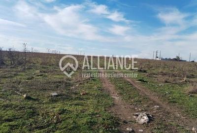 Techirghiol (cod04)-Teren 440 mp ideal investitie constructie casa - 3