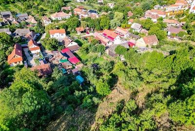 FILM!Areal apreciabil,casa+domeniu de 3.500mp,Sancraiu,vecin Sfantu Gheorghe si FILM!Areal apreciabil,casa+domeniu de 3.500mp,Sancraiu,vecin Sfantu Gheorghe si - 10