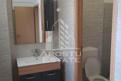 Spatiu comercial 62 mp + terasa 133 mp, Aradului - 5