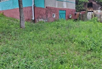 Casă cu 3 camere în Central - 1