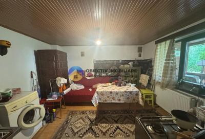 Casa tradi?ionala de vanzare in comuna Podoleni, jud. - 11