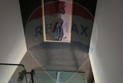 Duplex de Inchiriat in Zona Domeni-Ca?in - 3