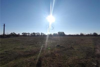 Teren de vanzare - 8027 mp - 3