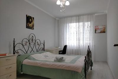 Apartament cu doua camere de inchiriat in zona Crangasi - 8
