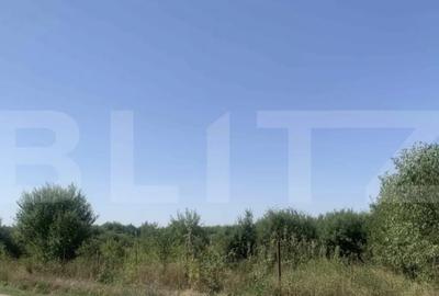 Teren de 7200 mp, în Est - 2