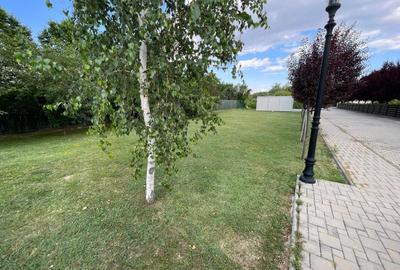 Locatie de nota 10 - select, siguranta, statut Snagov - 969 mp Acasa cu bucurie! - 6