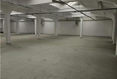 Spatiu Industrial - 3500 mp - Productie - Depozitare - Office - 7