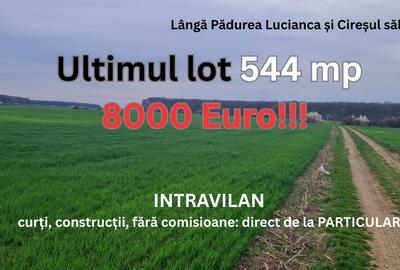 Teren Construcții intravilan de 544 mp, în Crevedia - 1