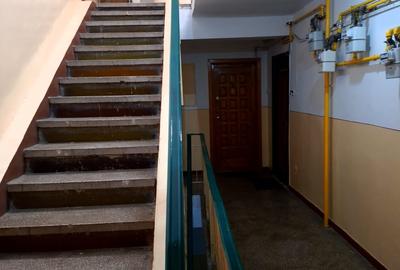 Apartament cu 2 camere decomandat, mobilat în Trivale - 20