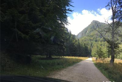 Teren de 3825 mp, în Vama Buzăului - 3