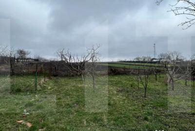 Casă cu 3 camere cu Teren 5810 Mp în Central - 1