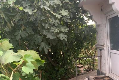 Voluntari  Vanzare Teren 1400mp cu casa batraneasca - 5