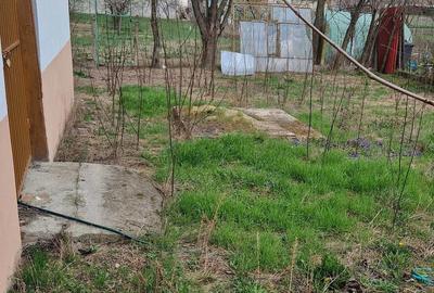 Casă cu 4 camere cu Teren 1500 Mp în Satchinez - 4