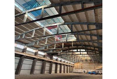 Spațiu comercial, de 17,500 mp, în Central - 8