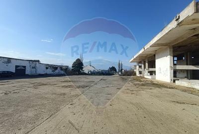 Spațiu industrial, de 5,000 mp, în Niculițel - 4