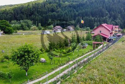 Casă individuală cu 3 camere cu Teren 1189 Mp în Cheia - 3